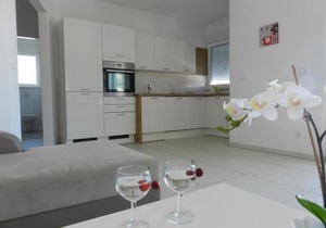 Apartments with parking space Baska Voda, Makarska - 15214