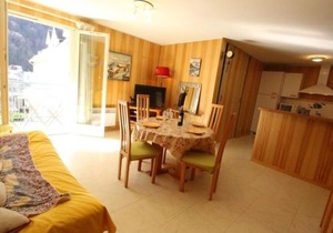 Appart. central 6/7 pers. à Bagnères-de-Luchon avec parking et animaux admis - FR-1-313-171