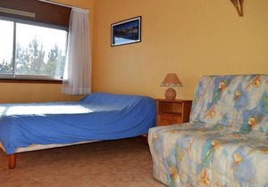 Appartement 2 pièces 6 pers, proche pistes, terrasse, animaux acceptés - FR-1-592-17