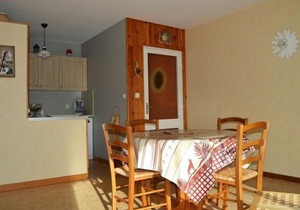 Appartement 2 pièces 6 pers, proche pistes, terrasse, animaux acceptés - FR-1-592-17