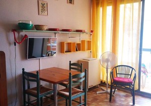 Appartement 2 Pièces avec Terrasse, Accès Piscine et Activités Sportives - 4 Couchages, Clim en Option - FR-1-195-89