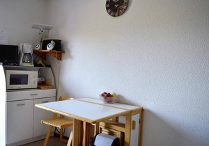 Appartement Argelès-sur-Mer, 1 pièce, 4 personnes - FR-1-225-608