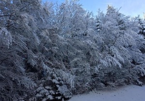 Appartement Bernex, 2 pièces, 4 personnes - FR-1-498-23