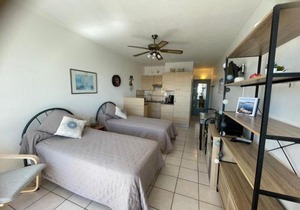 Appartement chaleureux avec balcon, animaux admis, pour cure ou vacances - FR-1-503-85