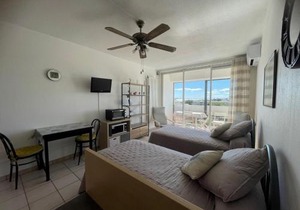 Appartement chaleureux avec balcon, animaux admis, pour cure ou vacances - FR-1-503-85