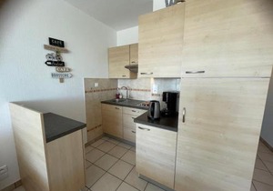 Appartement chaleureux avec balcon, animaux admis, pour cure ou vacances - FR-1-503-85
