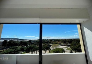 Appartement chaleureux avec balcon, animaux admis, pour cure ou vacances - FR-1-503-85