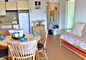 Appartement Climatisé 2P avec Parking, Proche Plage et Commerces à Cavalaire - FR-1-226B-99