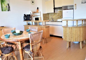 Appartement Climatisé 2P avec Parking, Proche Plage et Commerces à Cavalaire - FR-1-226B-99