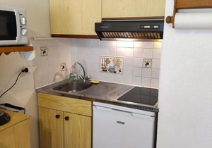 Appartement Les Adrets-Prapoutel, 1 pièce, 3 personnes - FR-1-557-127