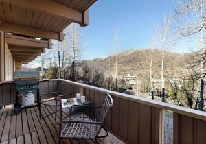 Aspen Alps - Studio with kitchenette and full bath -next to Aspen Mountain