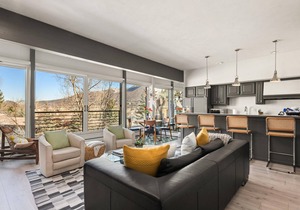 Aspen Mountain Hideaway - Stunning Views! Modern Decor, Wood FP, Outdoor Pool, HT & Walk to Town