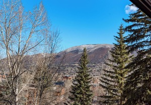 Aspen Mountain Hideaway - Stunning Views! Modern Decor, Wood FP, Outdoor Pool, HT & Walk to Town