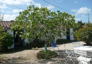 AUTHENTIC FISHERMAN'S HOUSE AT BLACKMOUTIER NEAR BEACH