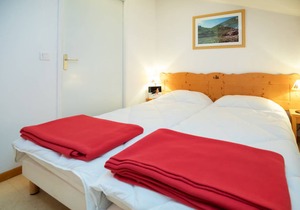 Balcons G 026 - PARC NAT. VANOISE appart. 6 pers.