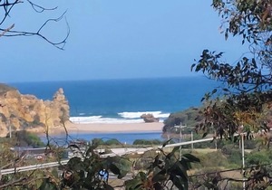 Beach & Bush Haven Su