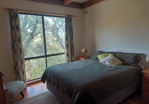 Beach & Bush Haven Su