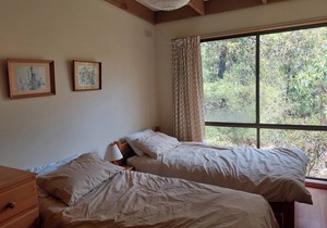 Beach & Bush Haven Su