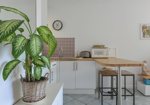 Beaulieu-sur-Mer, magnificent studio in quiet location, air-conditioning, parking, WiFi.