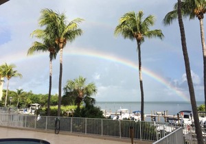 Beautiful 1 bedroom apartment with a Phenomenal direct bay view 312