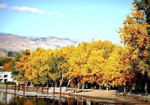 Beautiful 1 bedroom unit at resort, sleeps 5