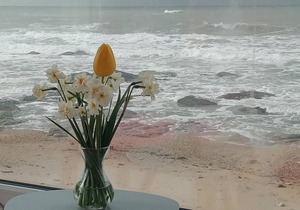 BEAUTIFUL 180 ° PANORAMIC SEAVIEWS , Oceanfront Villa .