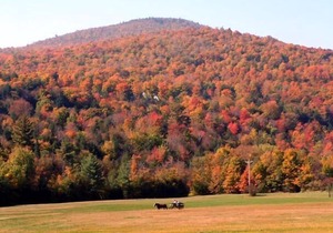 Beautiful 2BR Ski-in/Ski-out* Lodge Condo at Stowe`s Toll House LiftBeautiful Remodeled Ski-in/Ski-out Lodge Condominium at Stowe`s Toll House Lift