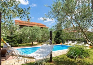 Beautiful and spacious popular villa with private pool near Porec, pets allowed