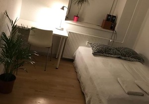 Beautiful apartment in the Greater Copenhagen