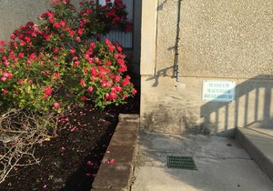 Beautiful Beach Getaway - Beachfront 2 bedroom w/ pools & renovated kitchen.