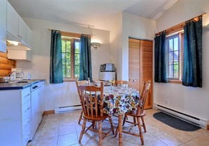 Beautiful cottage in Val-David - Log house #2