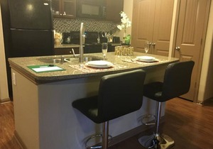 Beautiful Large 1 Bedroom/1 Bath Condo in The Woodlands
