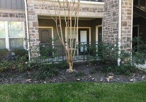 Beautiful Large 1 Bedroom/1 Bath Condo in The Woodlands