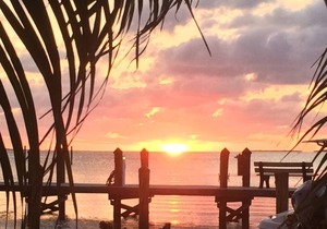 Beautiful Modern Studio, recently remodeled, new to the market, Summer Sea 405