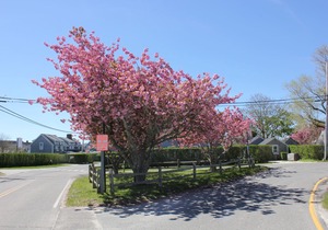 Beautiful new construction right in the heart of historic Sconset