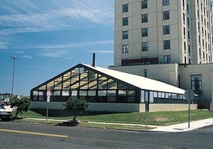 Beautiful studio unit at resort, sleeps 4