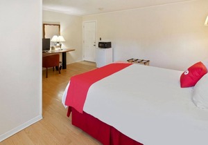 Best Place to Stay in Delhi! 4 Convenient Units, Near Maple Shade Farm