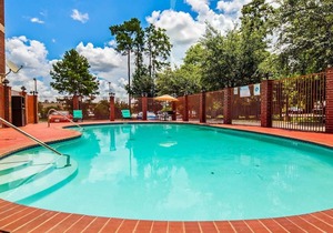 Best Western Plus The Woodlands