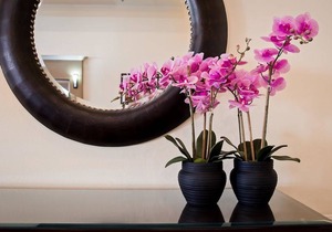 Best Western Plus Salinas Valley Inn & Suites