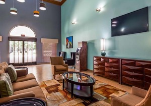 Best Western Plus The Woodlands