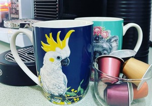 Birdsong @ Beachcomber - 3 bedroom apartment in beachfront complex