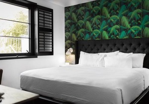 Black Swan - Sobro Nashville