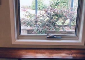 Blackheath Suite Family & Pet Friendly