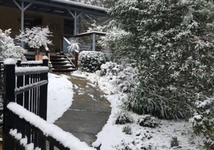 Blackheath Suite Family & Pet Friendly