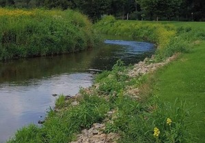 Blakley Hobbit Campground-Tent spot #5