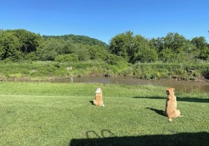 Blakley Hobbit Campground-Tent spot #7