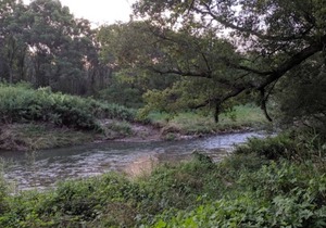 Blakley Hobbit Campground-Tent spot #7
