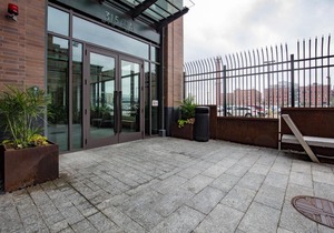 Bluebird in Fort Point