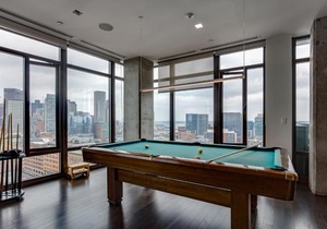 Bluebird in Fort Point