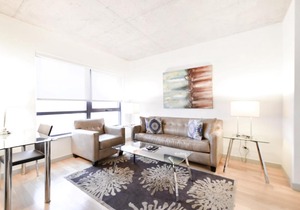 Bluebird in Fort Point